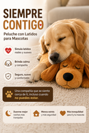 Siempre Contigo™ — Un Abrazo Que Se Siente Cerca de Ti