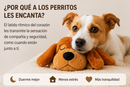Siempre Contigo™ — Un Abrazo Que Se Siente Cerca de Ti