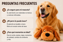 Siempre Contigo™ — Un Abrazo Que Se Siente Cerca de Ti