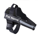 Collar de Perro Ajustable Con Nombre Personalizado