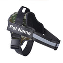 Collar de Perro Ajustable Con Nombre Personalizado