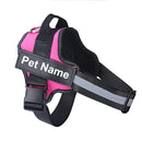 Collar de Perro Ajustable Con Nombre Personalizado