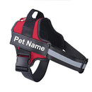 Collar de Perro Ajustable Con Nombre Personalizado