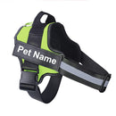 Collar de Perro Ajustable Con Nombre Personalizado