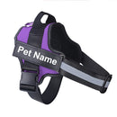Collar de Perro Ajustable Con Nombre Personalizado