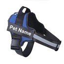 Collar de Perro Ajustable Con Nombre Personalizado
