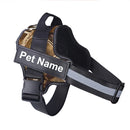 Collar de Perro Ajustable Con Nombre Personalizado