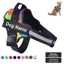 Collar de Perro Ajustable Con Nombre Personalizado