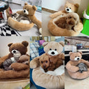 Cama Para Mascotas Con Osito