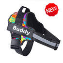 Collar de Perro Ajustable Con Nombre Personalizado